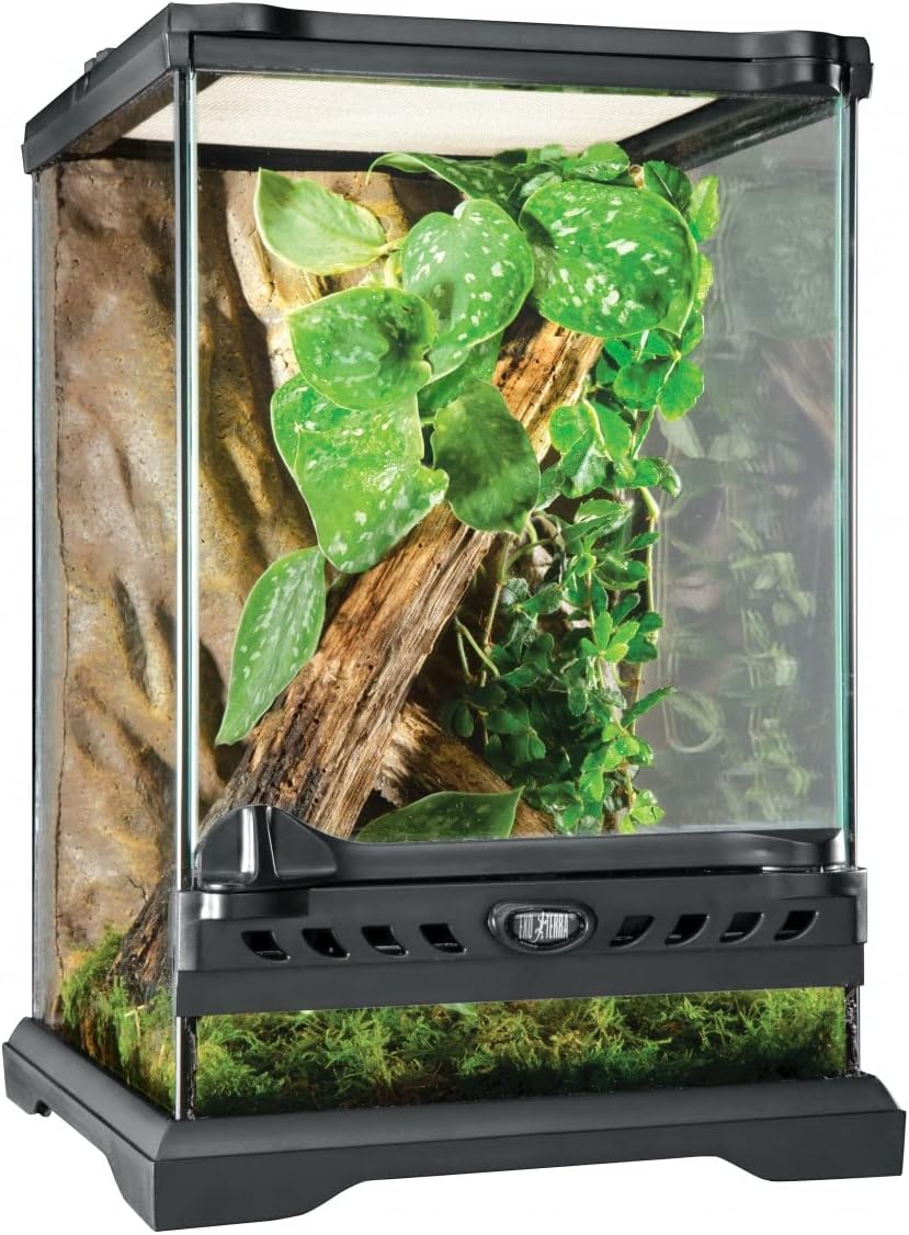 Exo Terra Terrario Nano Tall de 16 L, Vidrio, 20 x 20 x 30 cm, negro
