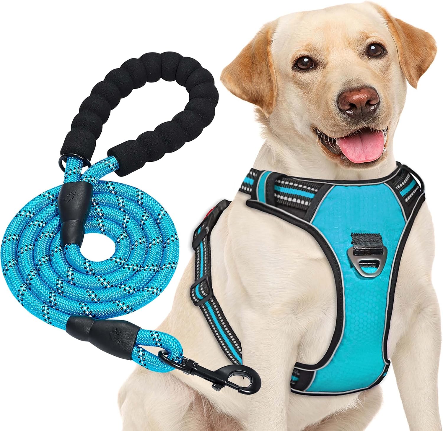 haapaw Arnés para Perro sin Tirar, Ajustable, Reflectante Oxford, fácil