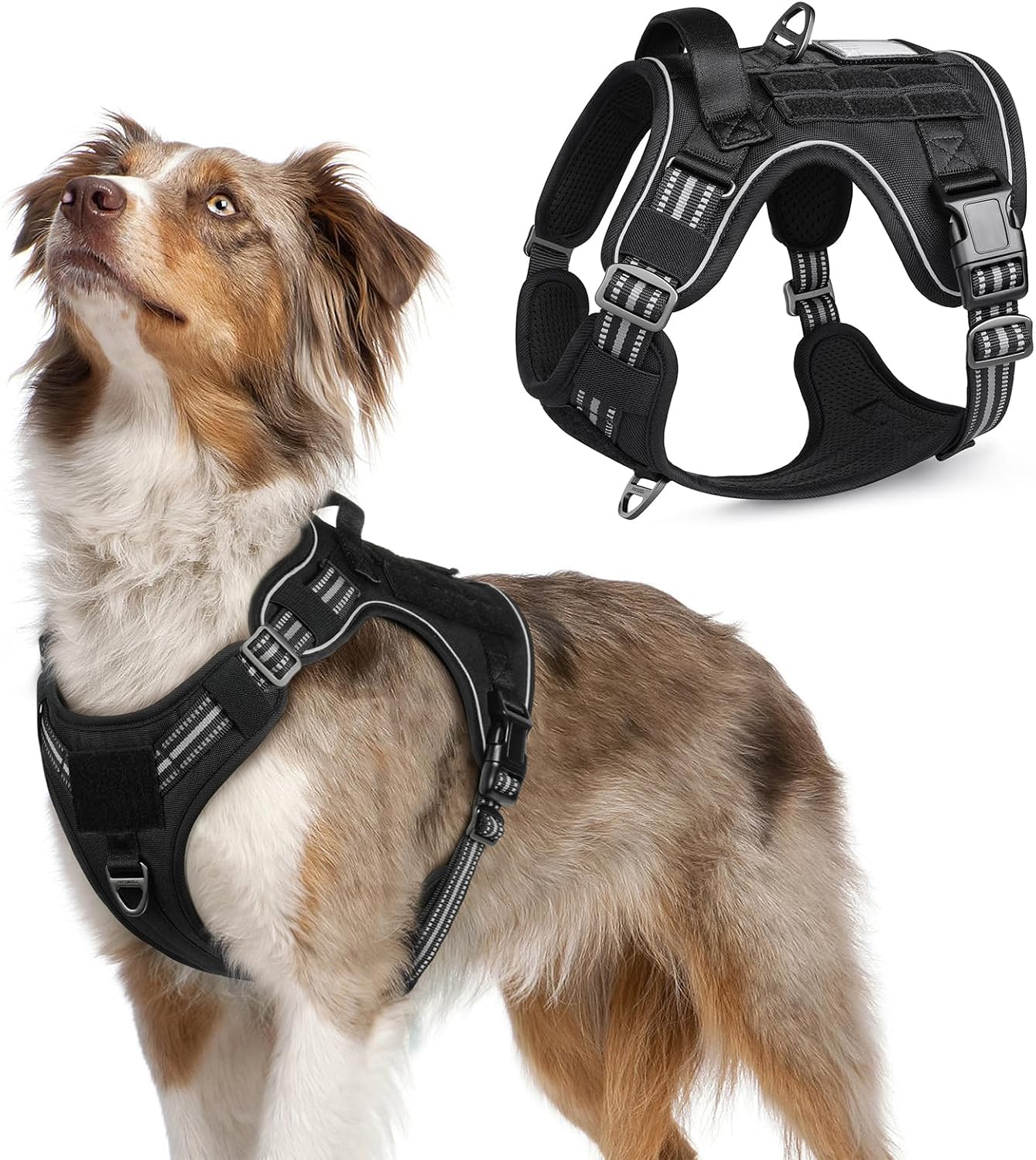 rabbitgoo Arnes Perro Antitirones, Arnés Táctico con Molle, Negro, M – Arnes