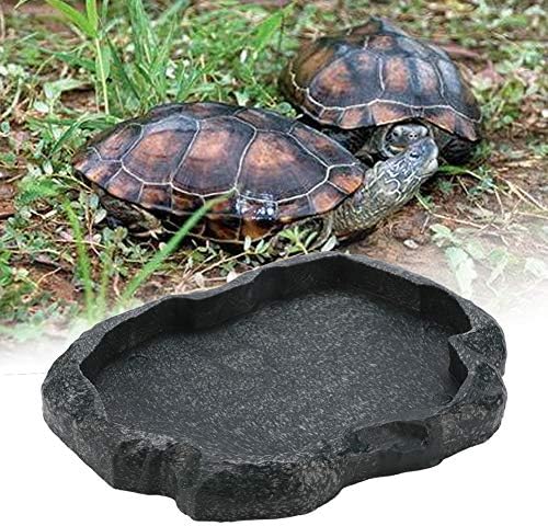 EBTOOLS Bebedero Tortuga Tierra, Dispensador de Agua para Reptiles, Comedero