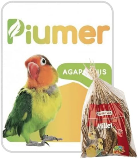 PIUMER - Pack Ahorro PIUMER para agapornis y ninfas MIXTURA 1 kg. + PANIZO 300