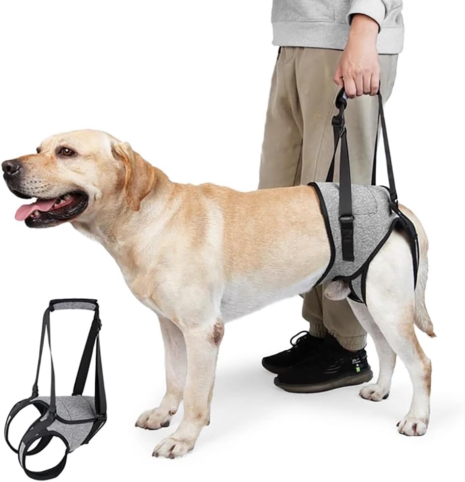 Arnés De Apoyo para Patas Traseras,Arnes de Transporte para Perros, Arnés