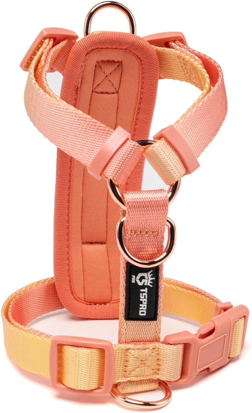TSPRO Arnés para Perro Ligero, Ajustable, Degradado para Perros Pequeños