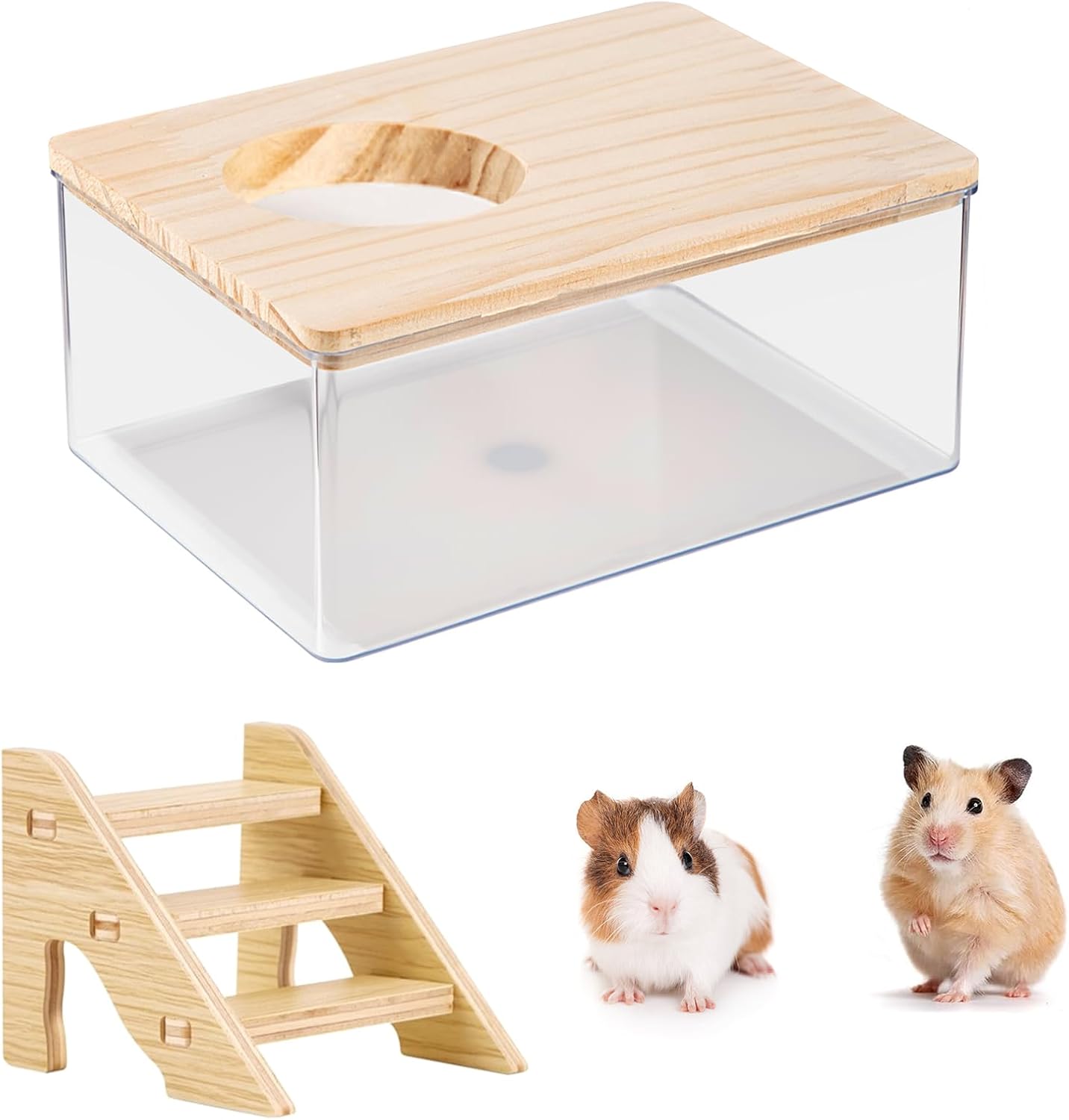 Arenero Hamster Arena Hamster Baño Arena de Baño Hamster Baño de Arena