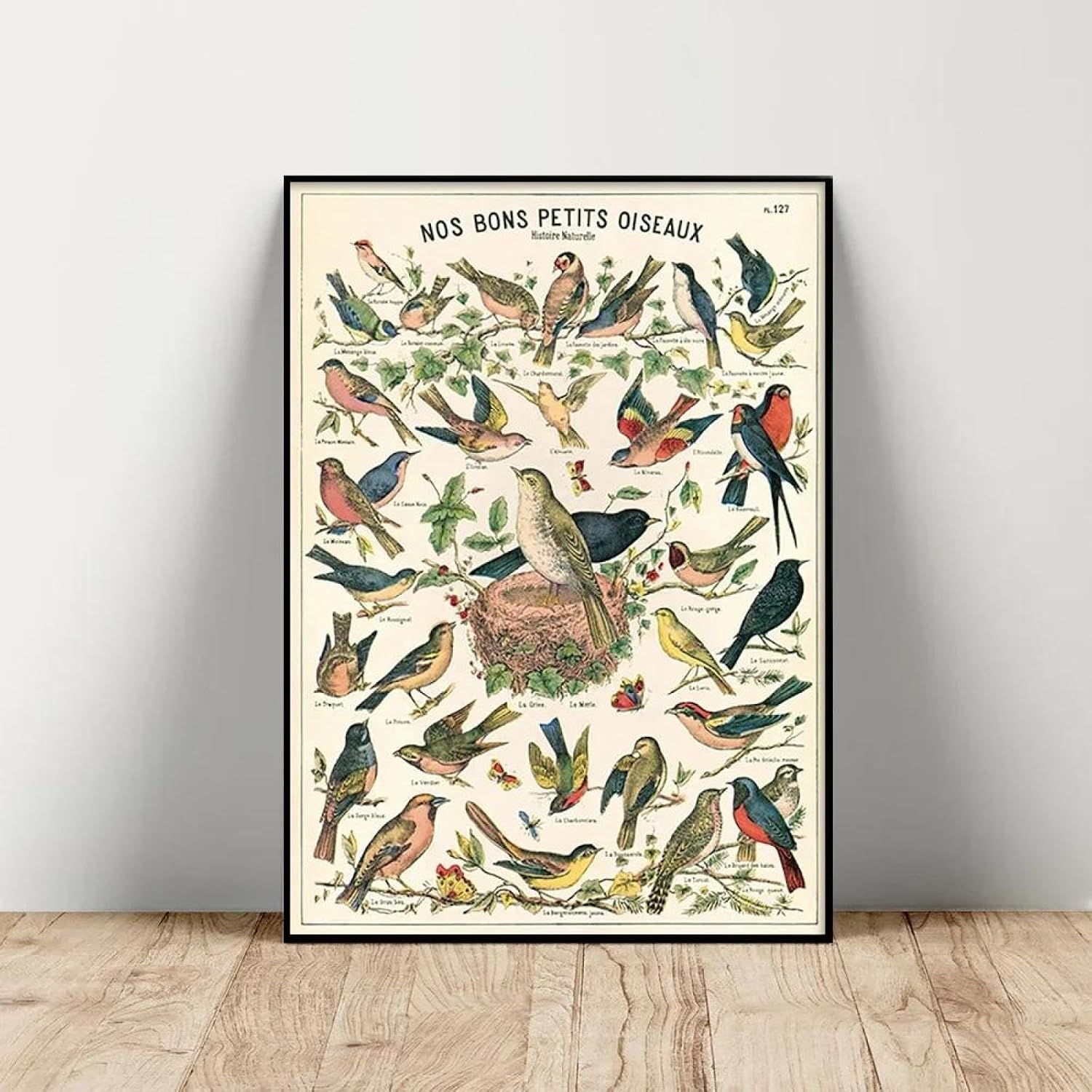 Póster Vintage De Historia Natural Con Ilustración De Aves Y Animales