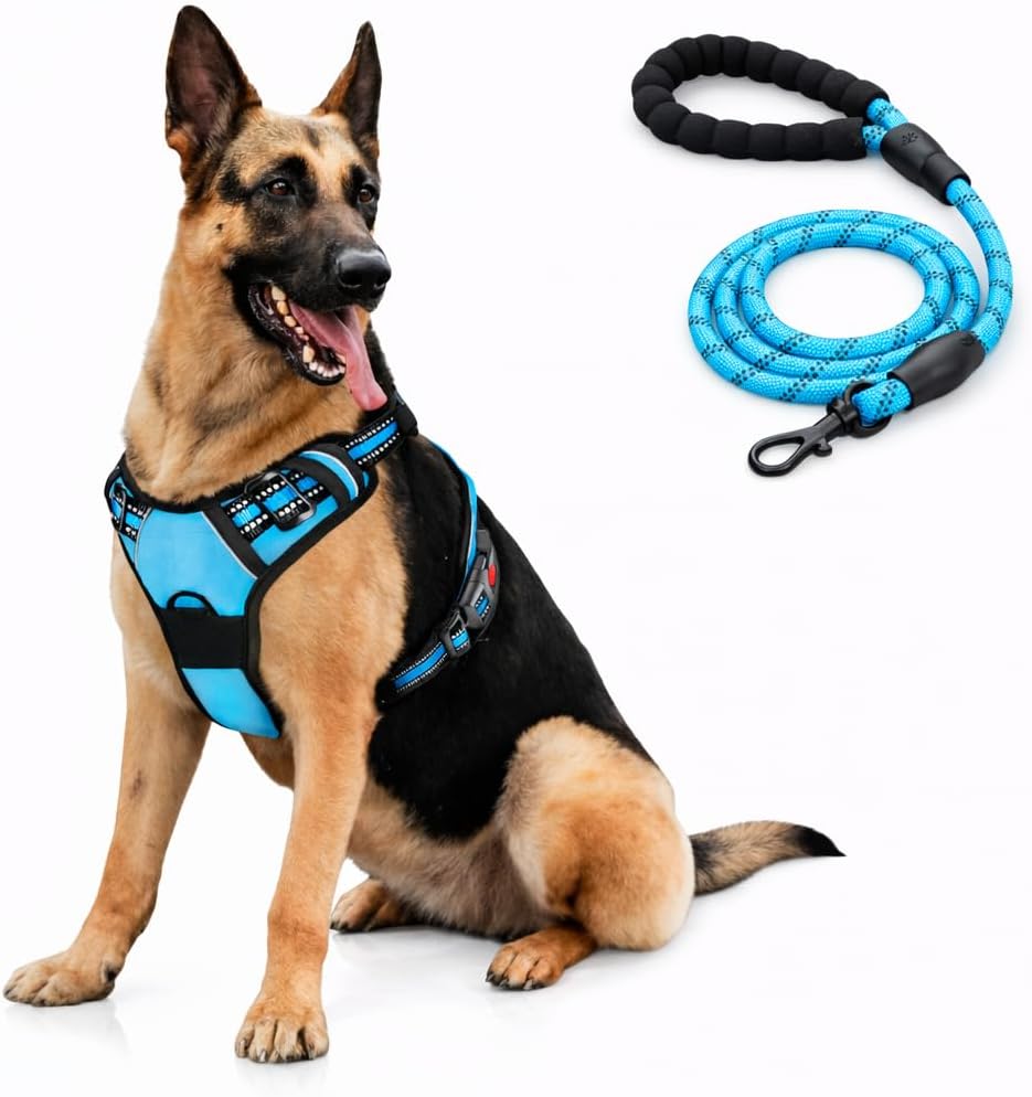Arnés para Perro Bihotzak con Correa a Juego, Perro Mediano, Pequeño, Grande