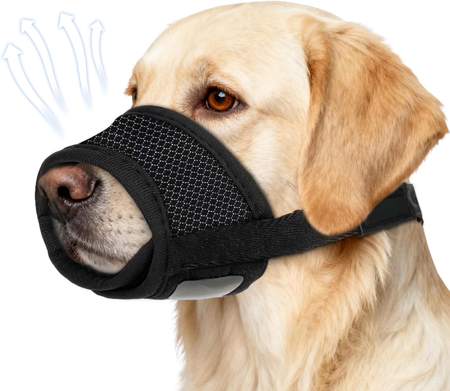 Bozal de Nylon Transpirable para Perros Pequeños y Mini - Malla Acolchada