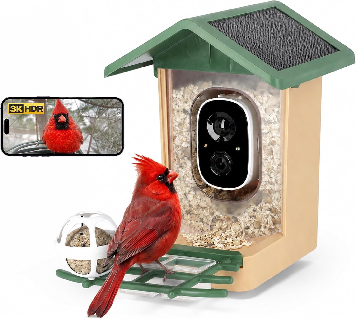 Comedero Inteligente Pájaros, Rollei Smart Bird Feeder 3K Comedero Pajaros