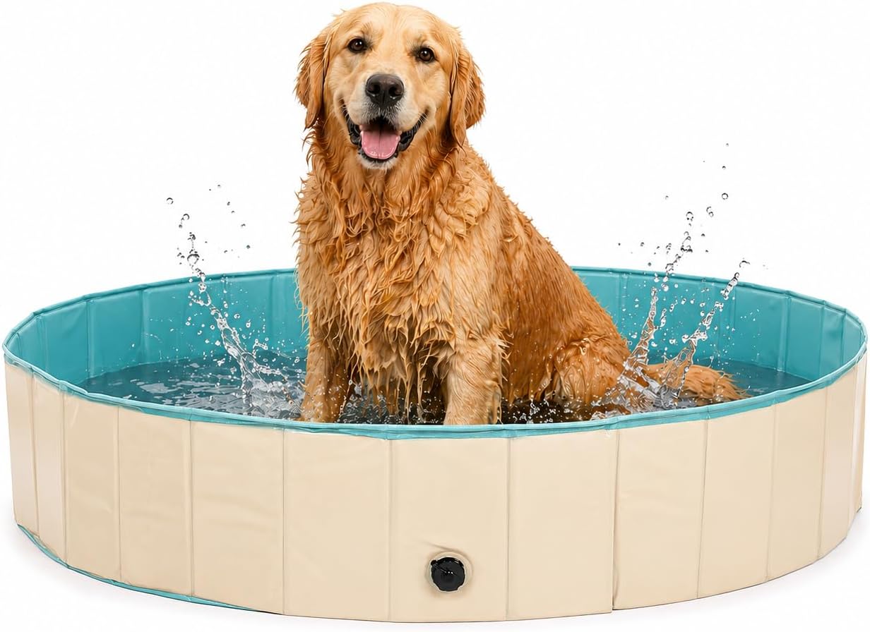 Piscinas Desmontables 160x30cm - Piscina Perro - Piscina para Perros - Mascotas